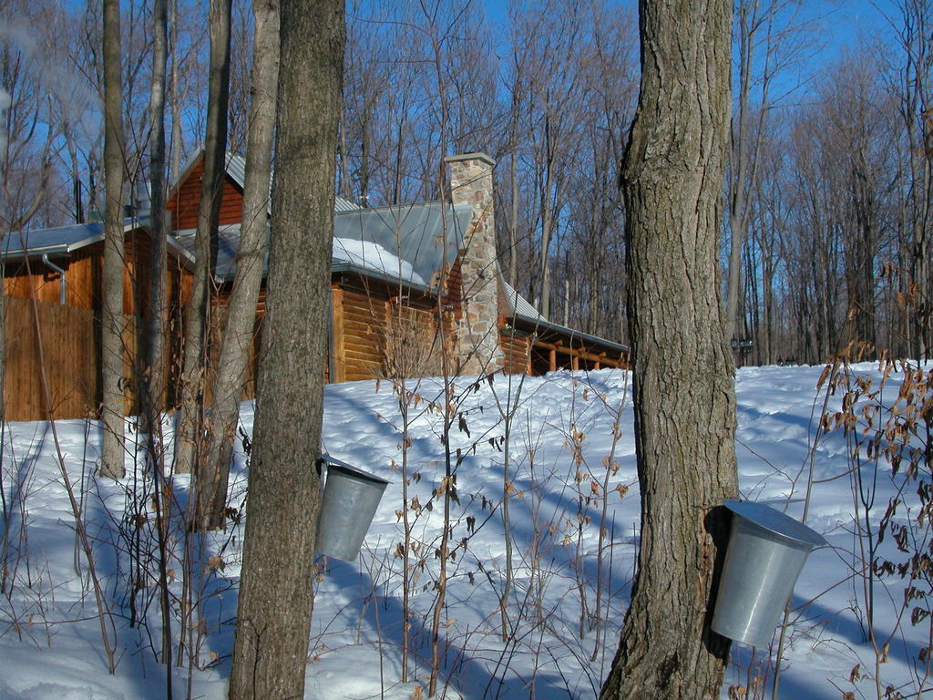 Auberge Des Gallant Rigaud Exterior foto